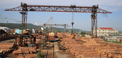 Image Caption